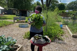 GROW Spanish Lake Community Garden