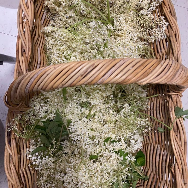 Elderflowers