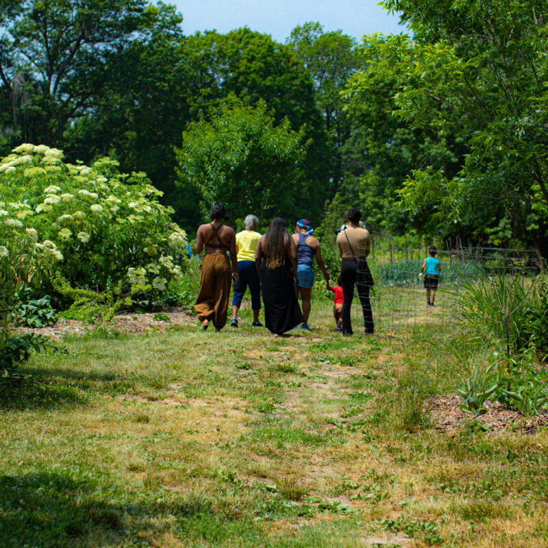 Educational Farm Tours