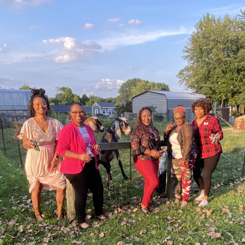 Holly's Curated Experiences