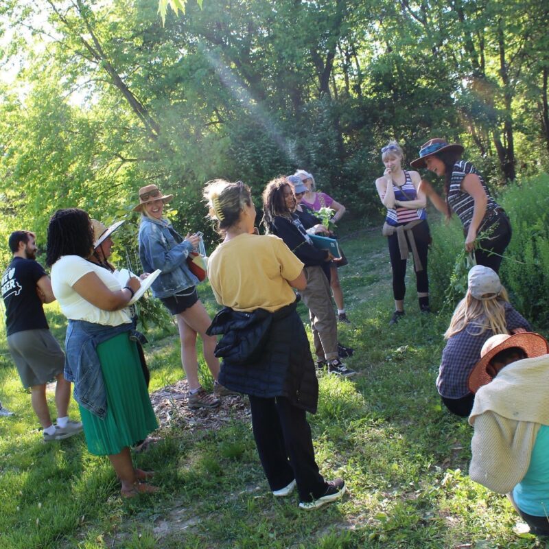 Foraging Classes
