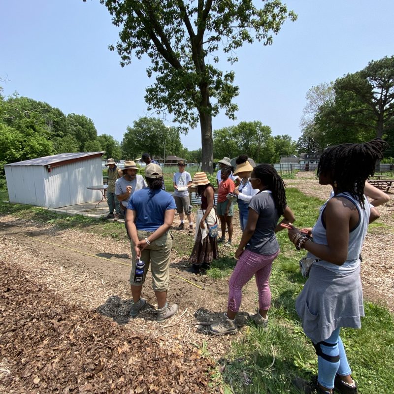 Farm Dreamers learning to farm