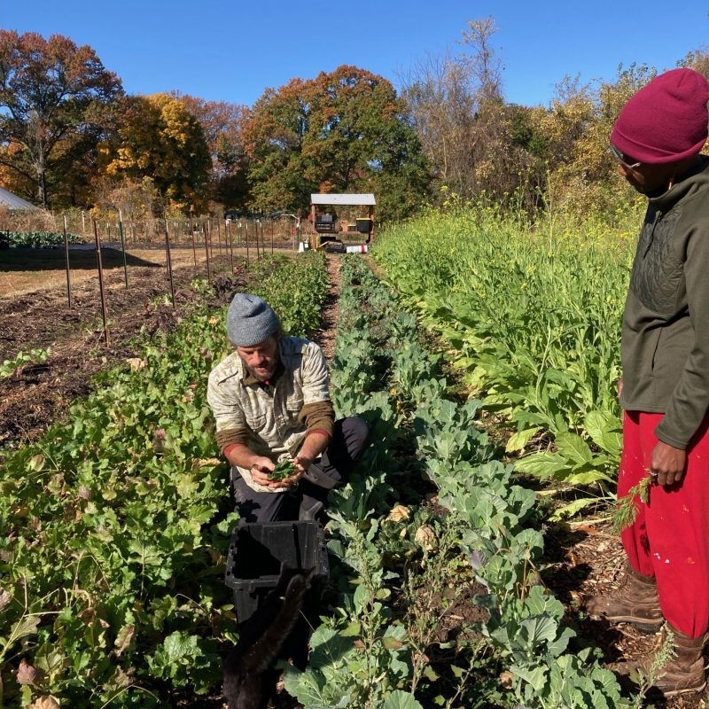 Fresh food for our community