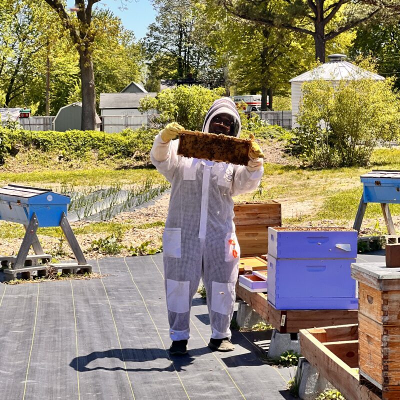 Beekeeping
